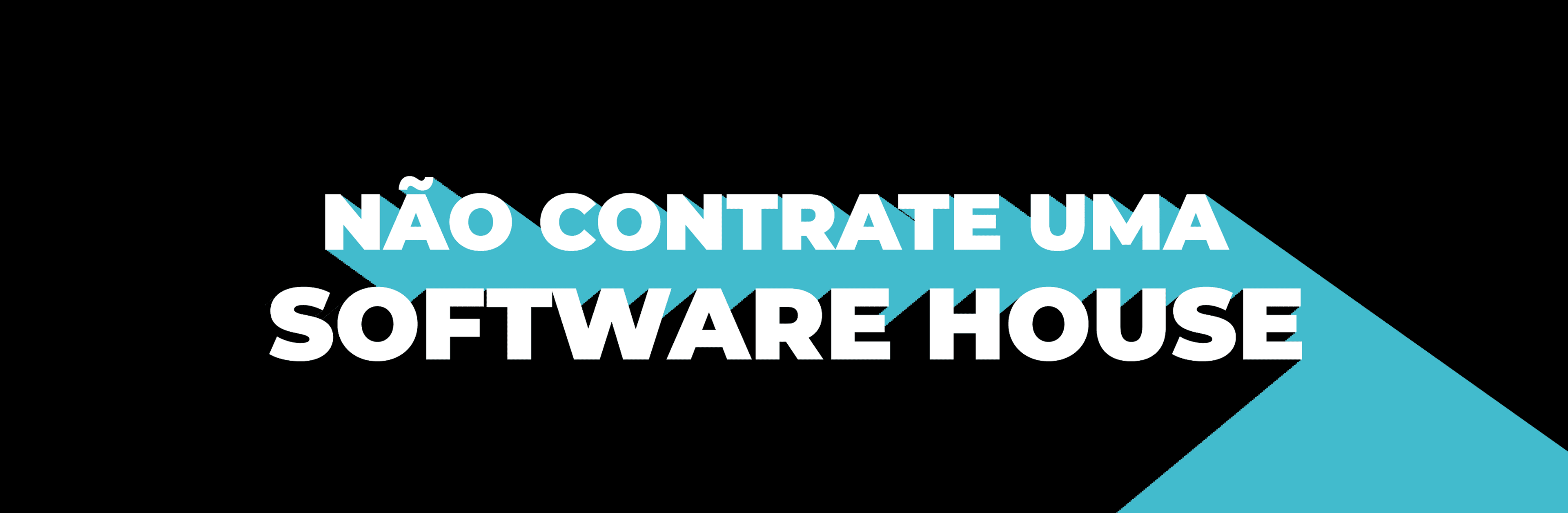 Não contrate uma software house